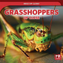 Grasshoppers Up Close cover