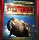 The Beastly Elephant Seal cover