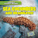 Sea Cucumbers Are Brainless! cover