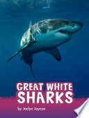 Great White Sharks cover