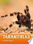 Tarantulas cover