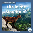 Life in the Mountains cover