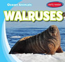 Walruses cover