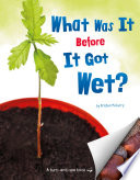 What Was It Before It Got Wet? cover