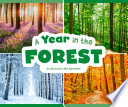 A Year in the Forest cover