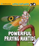 Powerful Praying Mantids cover