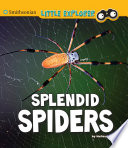 Splendid Spiders cover