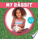 My Rabbit cover