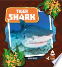 Tiger Shark cover