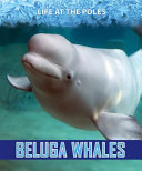 Beluga Whale cover