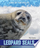 Leopard Seals cover
