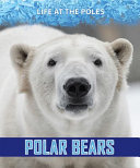 Polar Bears cover