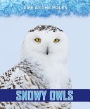 Snowy Owls cover