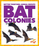 Bat Colonies cover