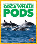 Orca Whale Pods cover