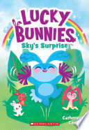 Sky's Surprise cover