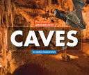 Looking Into Caves cover