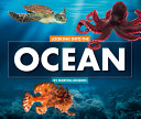 Looking Into the Ocean cover