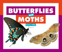 Butterflies and Moths cover