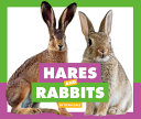 Hares and Rabbits cover