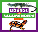 Lizards and Salamanders cover
