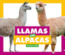 Llamas and Alpacas cover