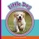 Little Dog cover