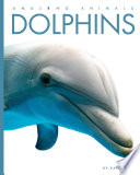 Dolphins (Amazing Animals, 2020 Edition) cover