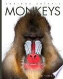 Monkeys (2020 Edition) cover