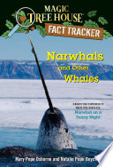 Narwhals and Other Whales: A Nonfiction Companion to Narwhal on a Sunny Night cover