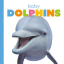 Baby Dolphins cover