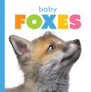 Baby Foxes cover