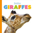 Baby Giraffes cover