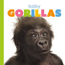 Baby Gorillas cover