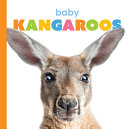 Baby Kangaroos cover