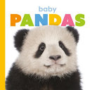 Baby Pandas cover
