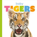 Baby Tigers cover