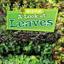 A Look at Leaves cover