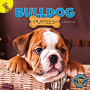 Bulldog Puppies cover