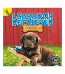 Labrador Retriever Puppies cover