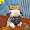 Pug Puppies cover