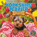 Yorkshire Terrier Puppies cover