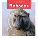 Baboons cover