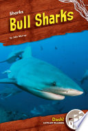 Bull Sharks cover