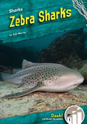 Zebra Sharks cover