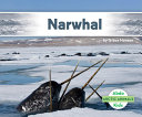 Narwhal cover