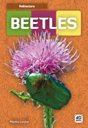 Beetles cover