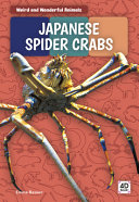 Japanese Spider Crabs cover