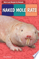 Naked Mole Rats cover