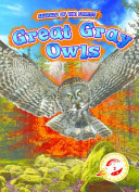 Great Gray Owls cover